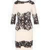 Adrianna Papell Womens Scroll Lace Short Dress(Ivory/Black)