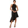 Adrianna Papell Crepe Combo Taffeta Dress