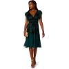Adrianna Papell Women’s Beaded Mesh Velvet Dress(Gem Green)