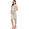 Adrianna Papell Womens Beaded Short Dress(Icey Sage/Ivory)