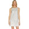 Adrianna Papell Women’s Beaded Trapeze Dress(Ivory)