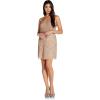 Adrianna Papell Women’s Short Blouson Beaded Cocktail Dress(Taupe/Pink)