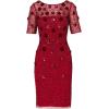 Adrianna Papell Women’s Velvet Embellish Mesh Dress(Cranberry)