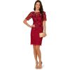 Adrianna Papell Women’s Velvet Embellish Mesh Dress(Cranberry)