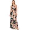 Adrianna Papell Floral Print Chiffon Gown with One Shoulder Neckline(Black/Blush Multi)