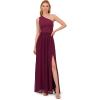 Adrianna Papell Floral Print Chiffon Gown with One Shoulder Neckline(Cassis)