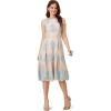 Adrianna Papell Women’s Embroidered Lace Fit and Flare(Light Blue/Nude)
