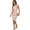 Adrianna Papell Women’s Floral Short Dress(Ivory Multi)
