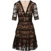 Adrianna Papell Women’s Lace Embroidery Dress(Black/Nude)