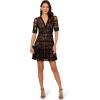 Adrianna Papell Women’s Lace Embroidery Dress(Black/Nude)