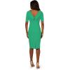 Adrianna Papell Womens Roll Neck Sheath with V Back(Botanic Green)