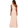 Adrianna Papell Womens Stretch Crepe Long Dress(Joyful Blush)