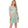 Adrianna Papell Women’s Lace Embroidery Dress(Airy Aqua)