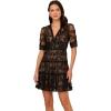 Adrianna Papell Women’s Lace Embroidery Dress(Black/Nude)