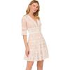 Adrianna Papell Women’s Lace Embroidery Dress(Ivory/Nude)