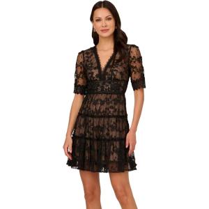 Adrianna Papell Women’s Lace Embroidery Dress(Black/Nude)