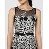 Adrianna Papell Womens Embroidered Fit and Flare(Black/Ivory)