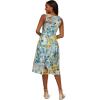 Adrianna Papell Womens Floral Printed Veiled Dress(Blue/Ivory Multi)