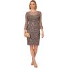 Adrianna Papell Womens Bead Bell Sleeve Dress(Moonscape)
