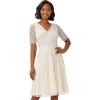 Adrianna Papell Women’s Beaded Tea Length Dress(Ivory/Pearl)