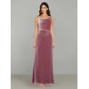 Adrianna Papell Womens Cowl Neck Velvet Gown(Antique Rose)