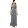 Adrianna Papell Womens Cowl Neck Velvet Gown(Silver)