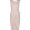 Adrianna Papell Womens Embroidered Lace Midi Dress(Dusty Rose)