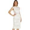 Adrianna Papell Womens Embroidered Lace Midi Dress(Ivory)