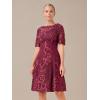 Adrianna Papell Womens Embroidered Lace Midi Dress(Red Wine)