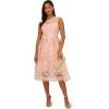 Adrianna Papell Womens Embroidered Midi Fit and Flare(Apricot Ice)