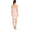 Adrianna Papell Womens Floral Embroidery Sheath(Champagne Rose/Ivory)