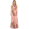 Adrianna Papell Womens Floral Printed Chiffon Gown(Blush Multi)