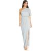 Adrianna Papell Women’s Metallic Mesh Gown(Skyway)