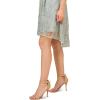 Adrianna Papell Women’s Sequin Embroidery Dress(Icy Sage)