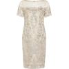 Adrianna Papell Women’s Sequin Embroidery Sheath Dress(Alabaster)