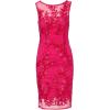 Adrianna Papell Women’s Sequin Leaf Sheath Dress(Hot Pink)