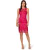 Adrianna Papell Women’s Sequin Leaf Sheath Dress(Hot Pink)