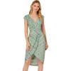 Adrianna Papell Women’s Beaded Mesh Dress(Icy Sage)