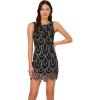 Adrianna Papell Women’s Beaded Scallop Dress(Black/Gunmetal)