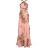 Adrianna Papell Womens Floral Printed Chiffon Gown(Blush Multi)