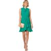 Adrianna Papell Womens Chiffon Short Dress(Botanic Green)