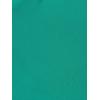 Adrianna Papell Womens Chiffon Short Dress(Botanic Green)