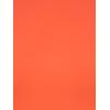 Adrianna Papell Womens Bow Sheath Dress with Three Quarter Sleeves(Orange Coral)
