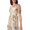 Adrianna Papell Womens Long Embroidered Dress(Mink Multi)
