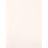 Adrianna Papell Womens Stretch Crepe Feather Dress(Ivory)
