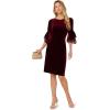 Adrianna Papell Womens Velvet Bell Sleeve Short Dress(Bordeaux)