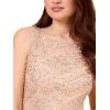 Adrianna Papell Womens Beaded Lace Sheath Dress(Blush)