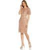 Adrianna Papell Women’s Beaded Mesh Sheath Dress(Rose Gold)