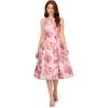 Adrianna Papell Women’s Jacquard Flared Dress(Blush Multi)