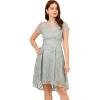 Adrianna Papell Womens Sequin Embroidery Dress(Icy Sage)